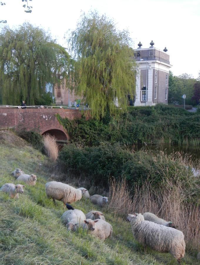 Logies De Zeeuwse Klei, Een Gezellig Jaren 30 Huis Middelburg Exteriér fotografie
